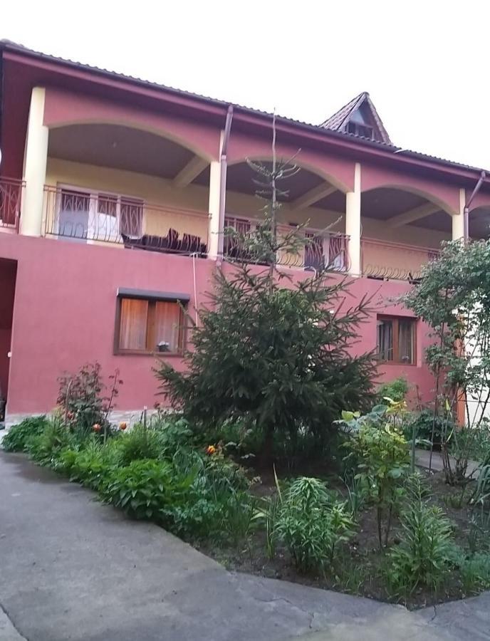 Pensiune La Rodica Hotel Costinesti Ngoại thất bức ảnh