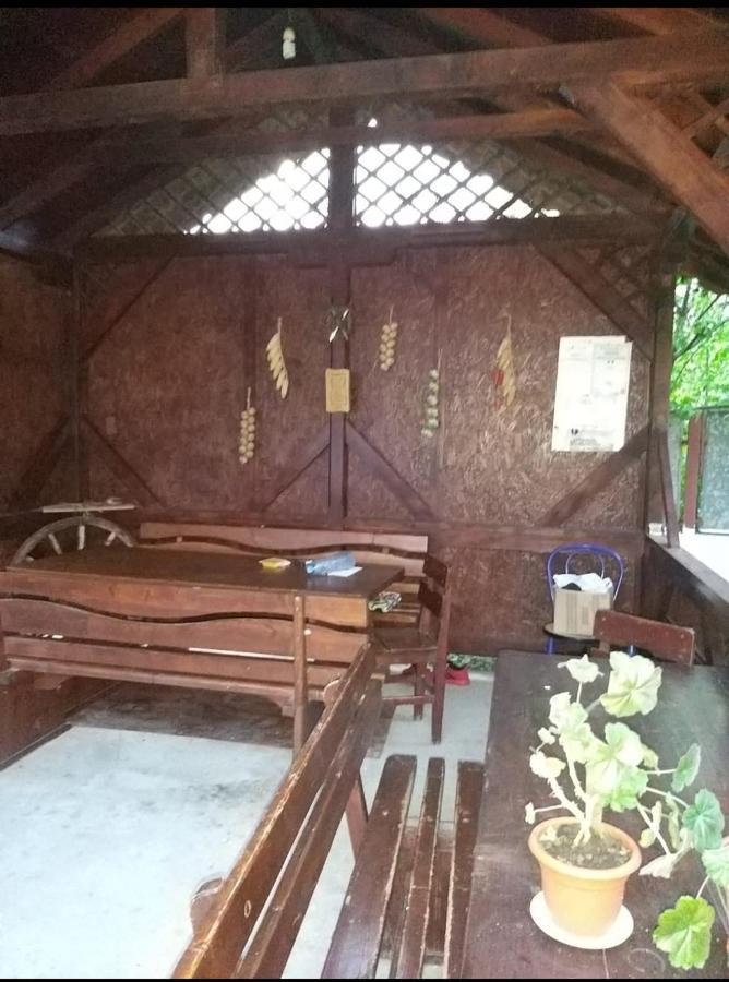 Pensiune La Rodica Hotel Costinesti Ngoại thất bức ảnh
